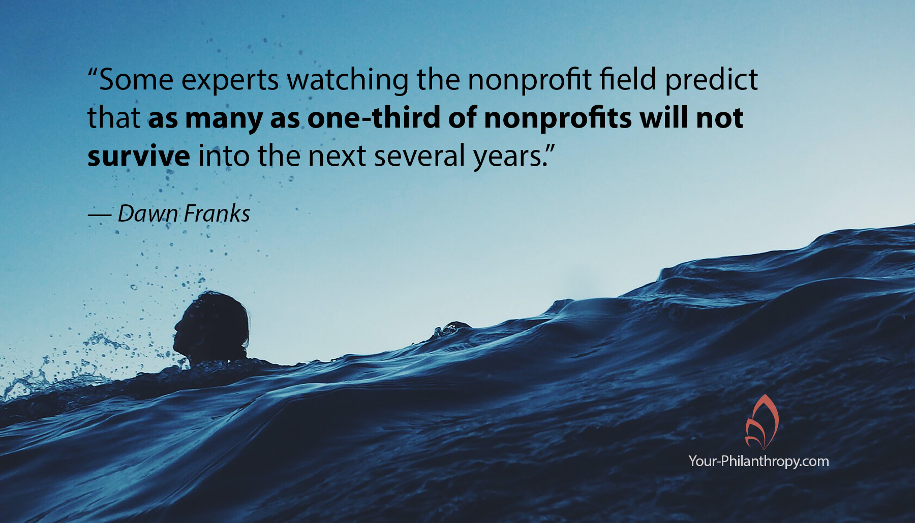 nonprofit survival